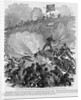 Siege of Vicksburg by Anonymous