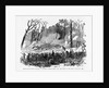 Battle of Shiloh by Anonymous