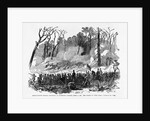 Battle of Shiloh by Anonymous