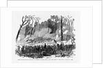 Battle of Shiloh by Anonymous