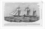 CSS Alabama by Anonymous