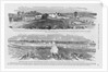 Siege of Petersburg by Anonymous