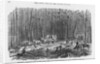 Building Road near Petersburg, Virginia by Anonymous