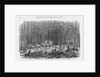Building Road near Petersburg, Virginia by Anonymous