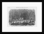 Building Road near Petersburg, Virginia by Anonymous