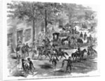 Confederate Cavalry Raid by Anonymous