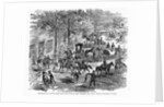 Confederate Cavalry Raid by Anonymous