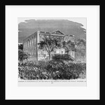 News of Lincoln's Election by Anonymous