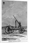 Prussian Balloon Musket by Anonymous