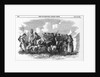 Irish Cattle Drive by Anonymous