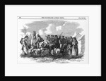 Irish Cattle Drive by Anonymous