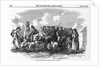 Irish Cattle Drive by Anonymous