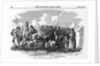 Irish Cattle Drive by Anonymous