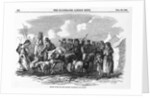 Irish Cattle Drive by Anonymous