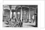 Opening of Geology Museum by Anonymous