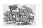 Camp of Cuban Volunteers by Anonymous