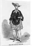 The New Female Costume Illustration by Anonymous