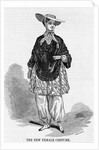 The New Female Costume Illustration by Anonymous