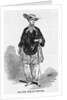 The New Female Costume Illustration by Anonymous