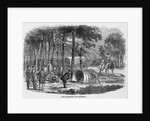A Small Gypsy Camp by Anonymous