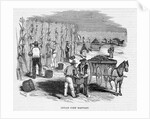 Harvesting Corn by Anonymous