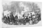 Making Maple Sugar by Anonymous