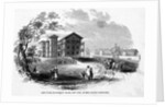Alms House, Blackwell's Island by Anonymous