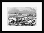 Cutting Ice at Spy Pond by Anonymous