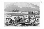 Cutting Ice at Spy Pond by Anonymous