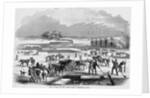 Cutting Ice at Spy Pond by Anonymous