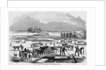 Cutting Ice at Spy Pond by Anonymous