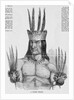 Portrait of a Tucuna Indian by Anonymous