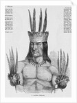 Portrait of a Tucuna Indian by Anonymous