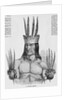 Portrait of a Tucuna Indian by Anonymous