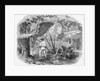 Hunting in Mexican Forest by Anonymous