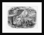 Hunting in Mexican Forest by Anonymous