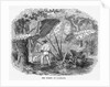 Hunting in Mexican Forest by Anonymous