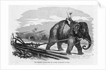 Elephant Pulling Plow by Anonymous