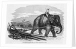 Elephant Pulling Plow by Anonymous