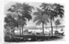 New London, Connecticut by Anonymous