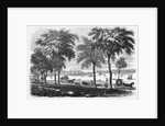 New London, Connecticut by Anonymous