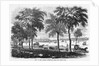 New London, Connecticut by Anonymous