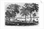 New London, Connecticut by Anonymous