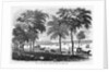 New London, Connecticut by Anonymous