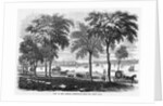 New London, Connecticut by Anonymous