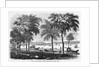 New London, Connecticut by Anonymous