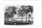 New London, Connecticut by Anonymous