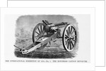 Hotchkiss Repeating Cannon by Anonymous