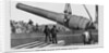 100 Ton Gun by Anonymous
