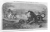 Dr. Livingstone Attacked By the Lion by Anonymous